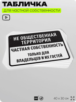 Табличка для частной территории "Не общественная территория, частная собственность", на дом, для участка, организаций, предупреждающая, 40х30 см, Silver Plane x Айдентика Технолоджи