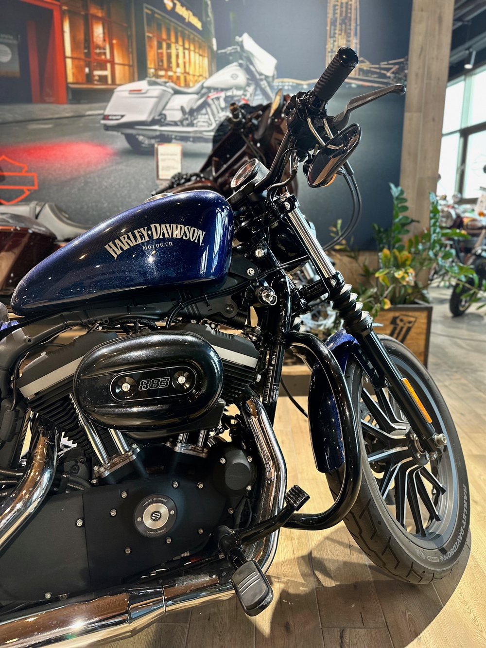 Harley-Davidson Sportster 883, 2013