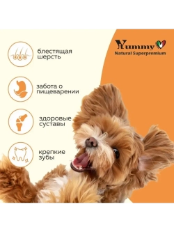 Корм для взрослых собак малых пород, индейка 8 кг