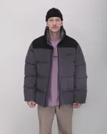 Пуховик Anteater Downjacket Velvet Combo Серая