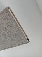 Достойные моих гор. Открытие Дальнего Запада 1840-1900