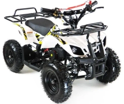 Квадроцикл MOTAX ATV Mini Grizlik X-16 (э/с)
