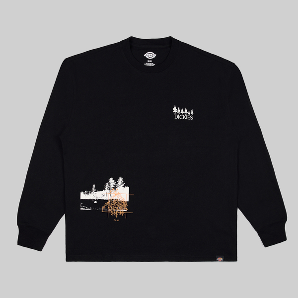 Лонгслив мужской Dickies Kenbridge Tee артикул:DK0A4YVRBLK1 - купить в магазине Дайс