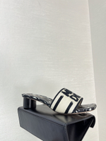 Christian Dior Dway Slide (11 colors)