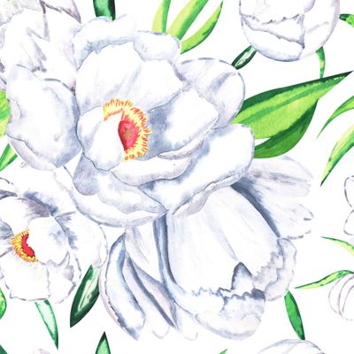 Белые пионы на белом фоне