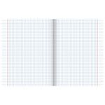 Тетрадь А5 48 л. АЛЬТ скоба, клетка, глянцевый лак, "КОШКИН ДОМ", 7-48-824