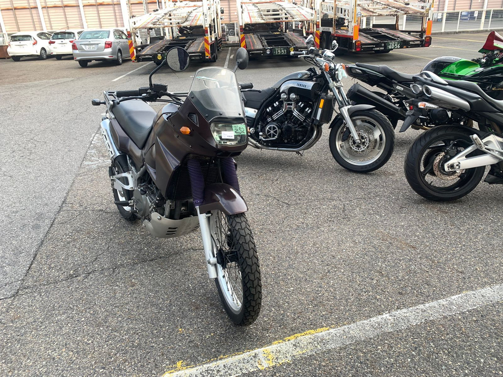 Kawasaki KLE400 LE400A-005754