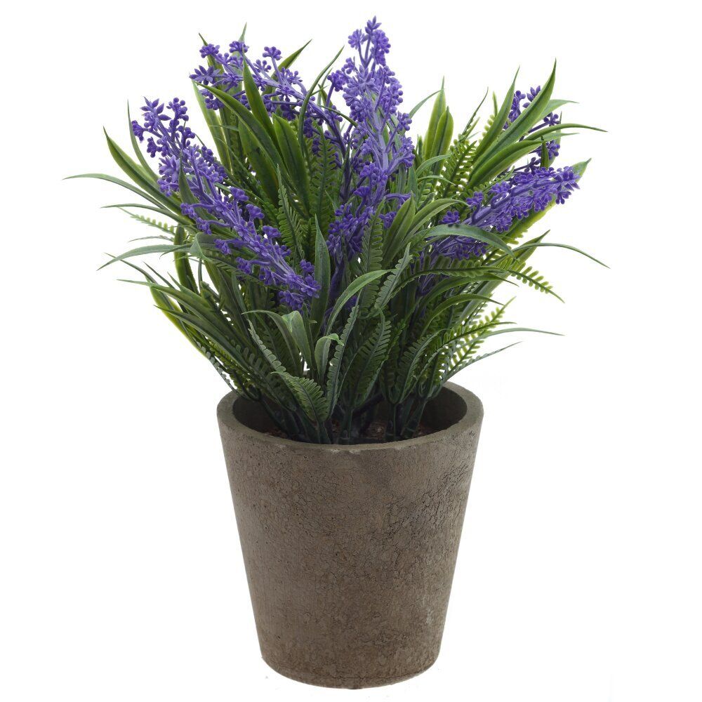 GAEM Цветочная композиция "Лаванда", L10 W10 H25 см