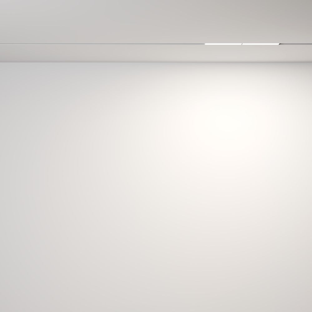 Трековый магнитный светодиодный светильник Maytoni Exility Parete TR106-2-12W4K-W