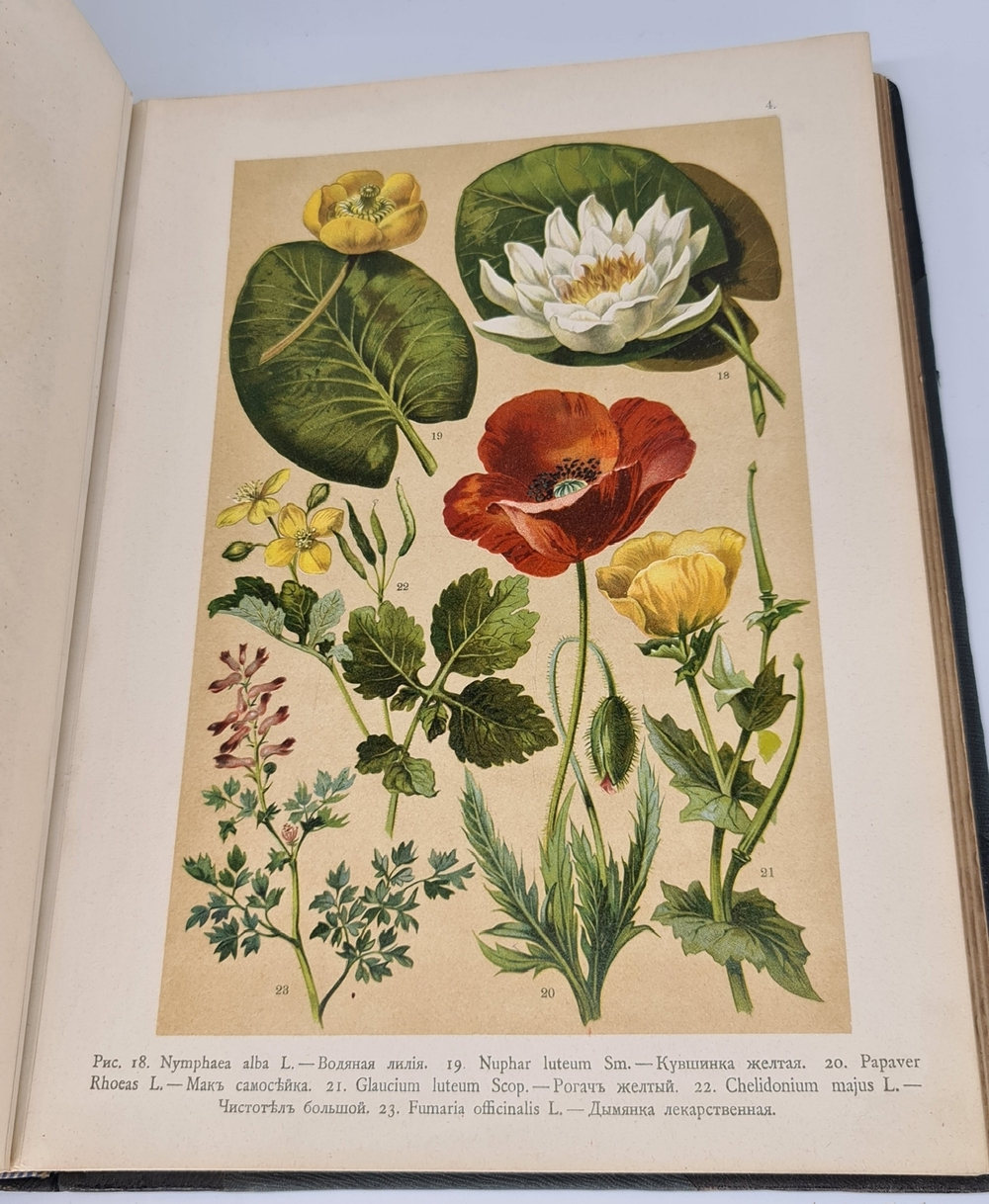 "Ботанический атлас по системе де-Кандоля". К.Гофман. 1899г.