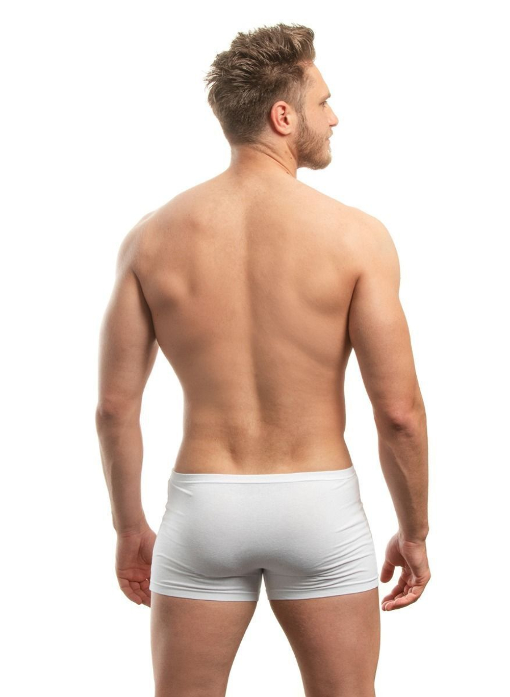 Хлопковые мужские трусы-боксеры (Размер: XXL) (Цвет: черный)