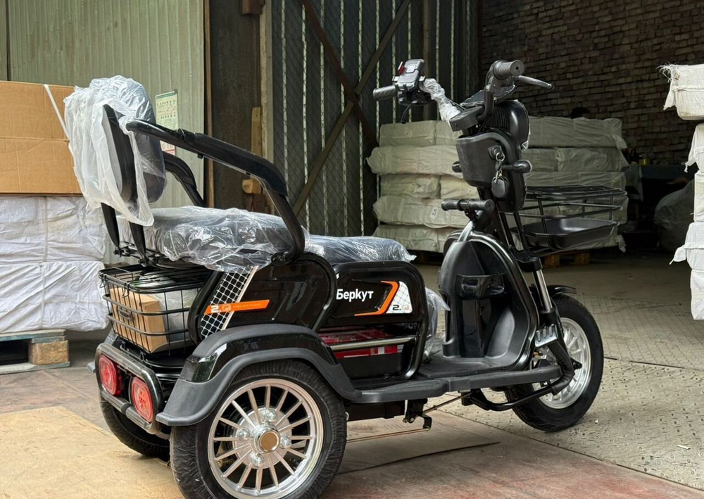 Электрический Трицикл, Трехколесный электроскутер Беркут EV3-2025(Wenbox) красный