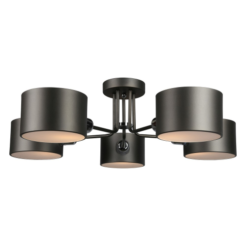 Потолочная люстра Omnilux OML-54507-05