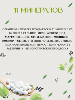 Мультивитамины и мультиминералы SeedComs Multivitamin & Multimineral, 90дней