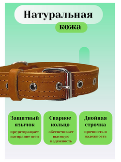 Ошейник для собак средних и крупных пород регулируемый оранжевый