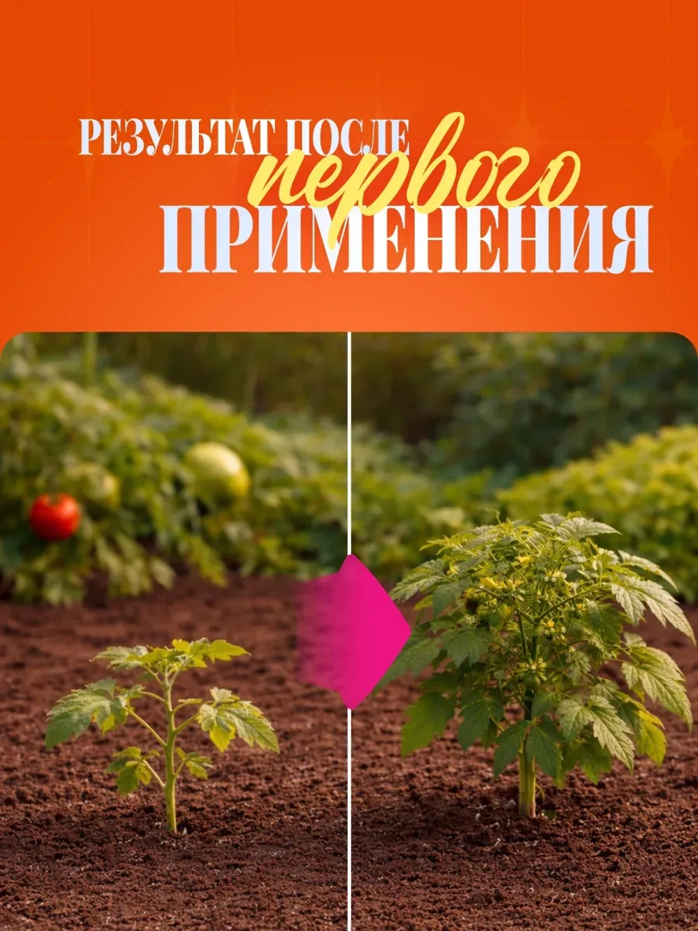 Удобрение для овощей и томатов универсальное 500 гр