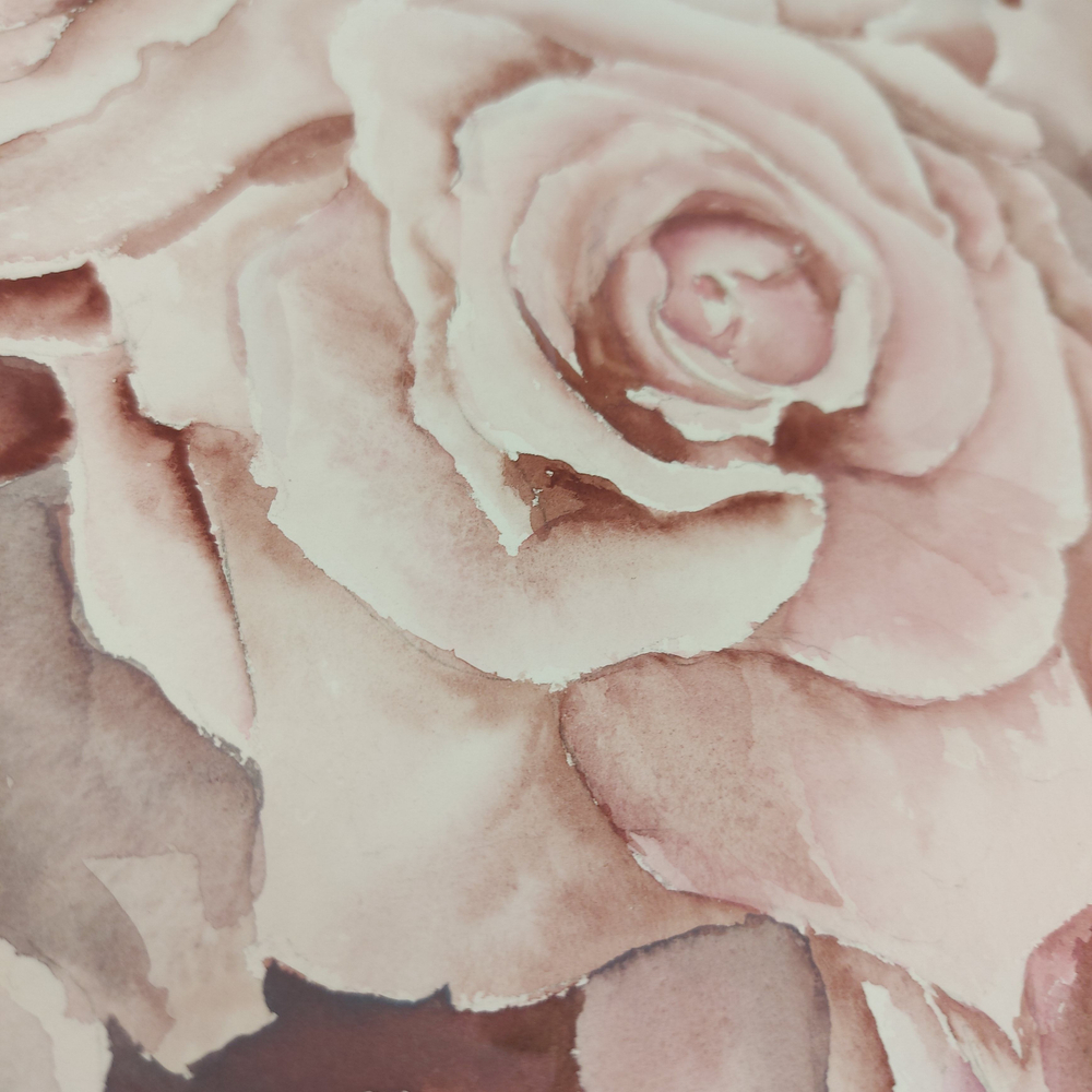 Картина авторская акварельная в паспарту 40х50 см на стену для интерьера "Розы "