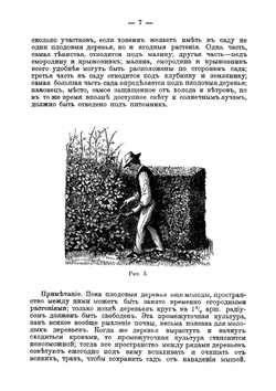 Питомник, плодовый сад, огород и цветник | Сумский Владимир Владимирович