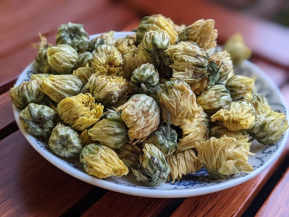 Бутоны Хризантемы или Китайская Ромашка