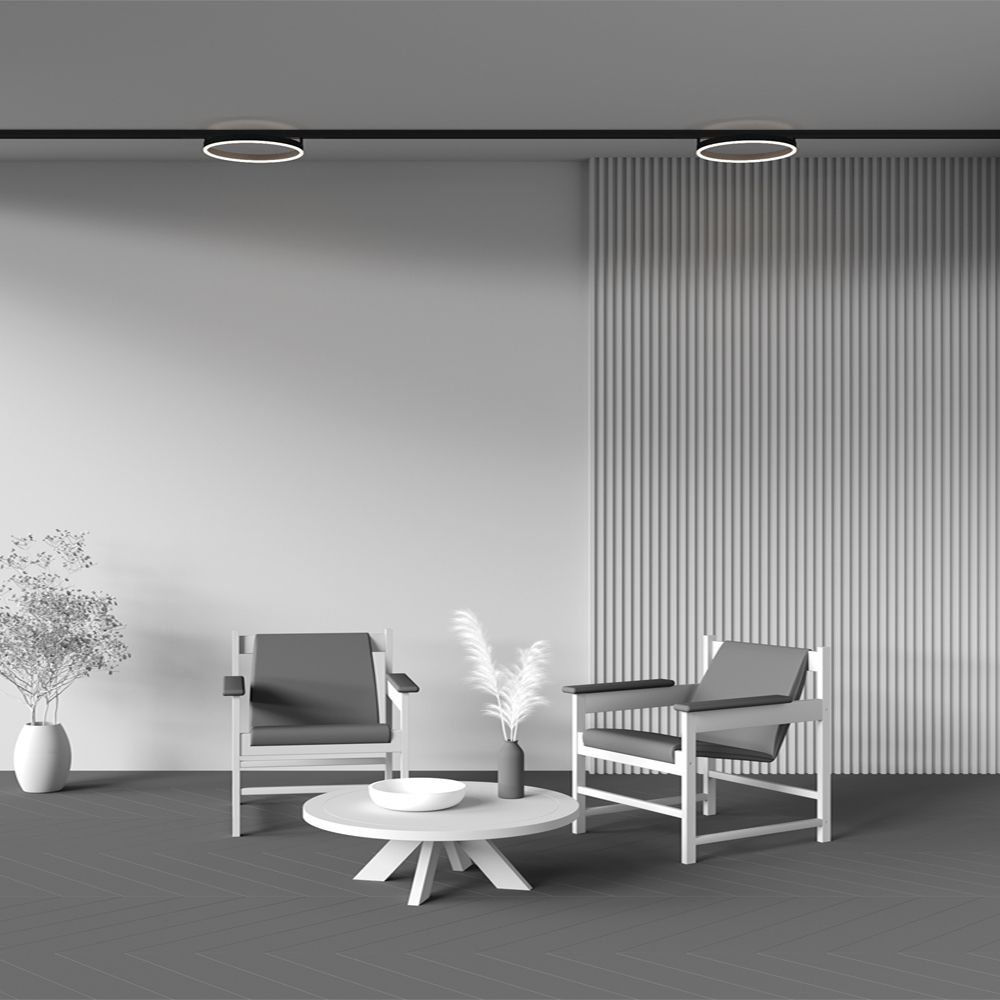 Трековый магнитный светодиодный светильник Maytoni Exility Rim TR227-2-24W4K-B