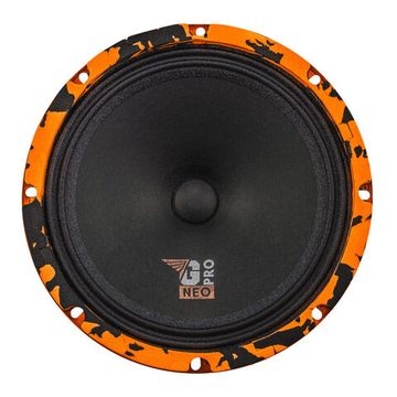 DL Audio Gryphon Pro 200 Neo