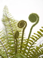 Искусственное растение для декора