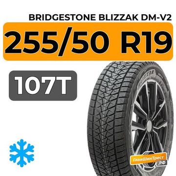 Bridgestone Blizzak DM-V2 255/50 R19 107T XL