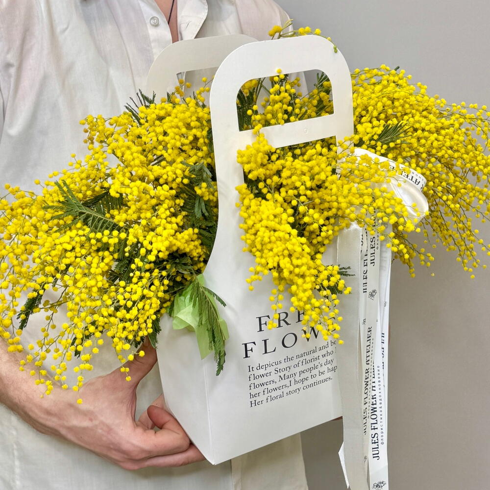 «Мимозье» композиция из мимозы