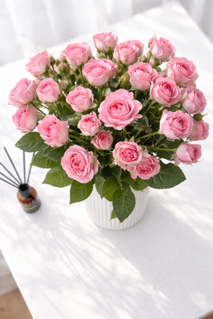 Букет "Фемке"🩷