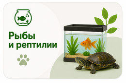 Рыбы и рептилии
