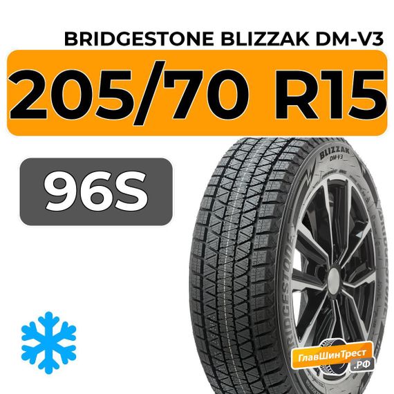Bridgestone Blizzak DM-V3 205/70 R15 96S