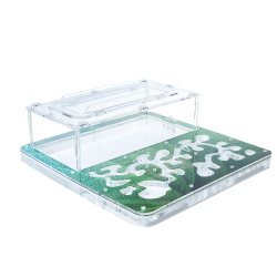 Antrum XL зеленый + колония Messor Structor