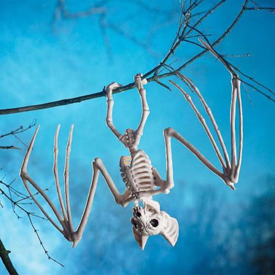 Скелет голубя