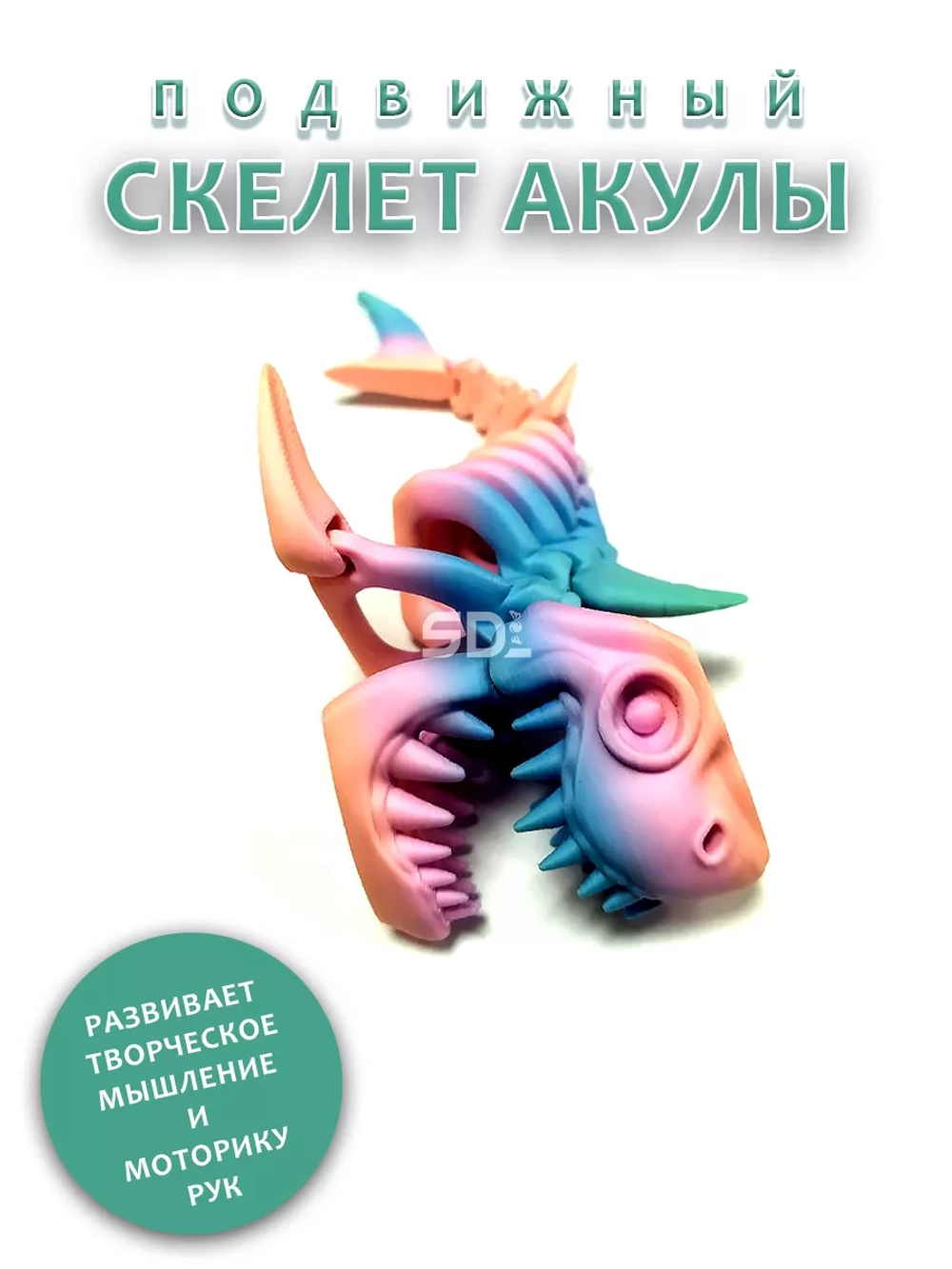 Скелет Акула