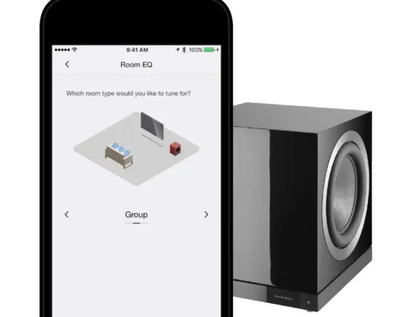 Bowers & Wilkins DB2D Black