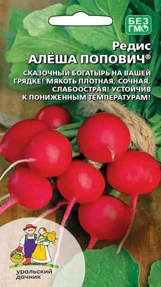 Редис &quot;G. Алеша Попович&quot; 2г., Россия.