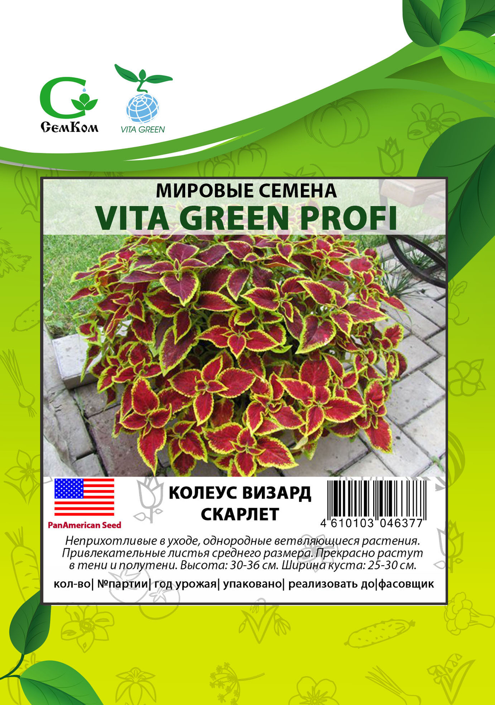 Колеус Визард Скарлет (50шт) Витагрин Профи
