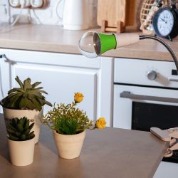 LED-A60-8W-SPSB-E27-CL PLP30GR Лампа светодиодная для растений. Форма A. прозрачная. Спектр для рассады и цветения. Картон. ТМ ФитоЛето