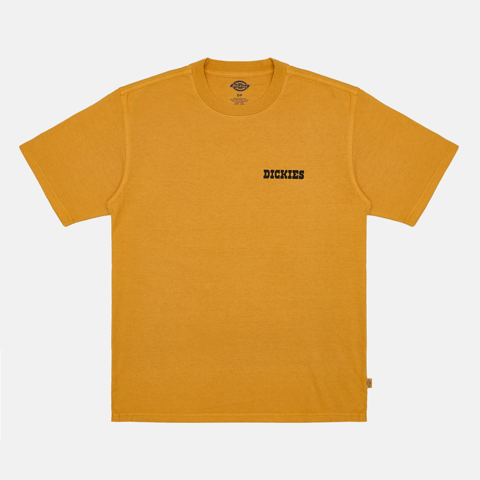 Футболка мужская Dickies Darrtown Short Sleeve Tee 