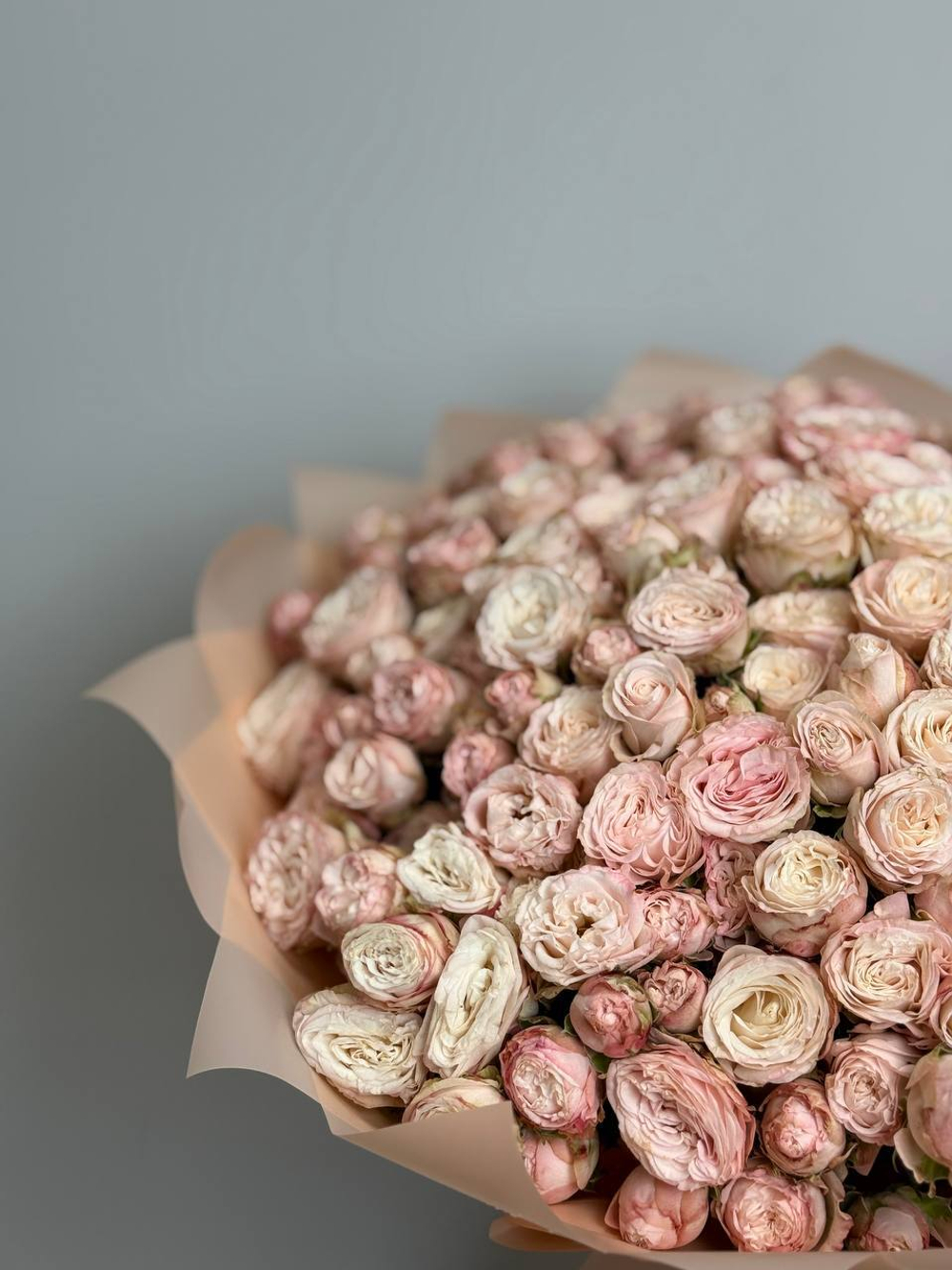 Розовые мечты