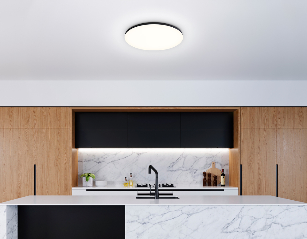 Потолочный светодиодный светильник с Wi-Fi Яндекс Алисой/Tuya/Smart Home/Alexa FZ2004 BK черный IP54 20W 3000K-6500K+RGB D300*55 (ПДУ ИК)