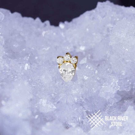 Tiger Paw Crystal PVD Yellow