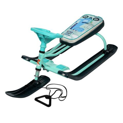 Снегокат "Тимка" Спорт №2+ с динозавром