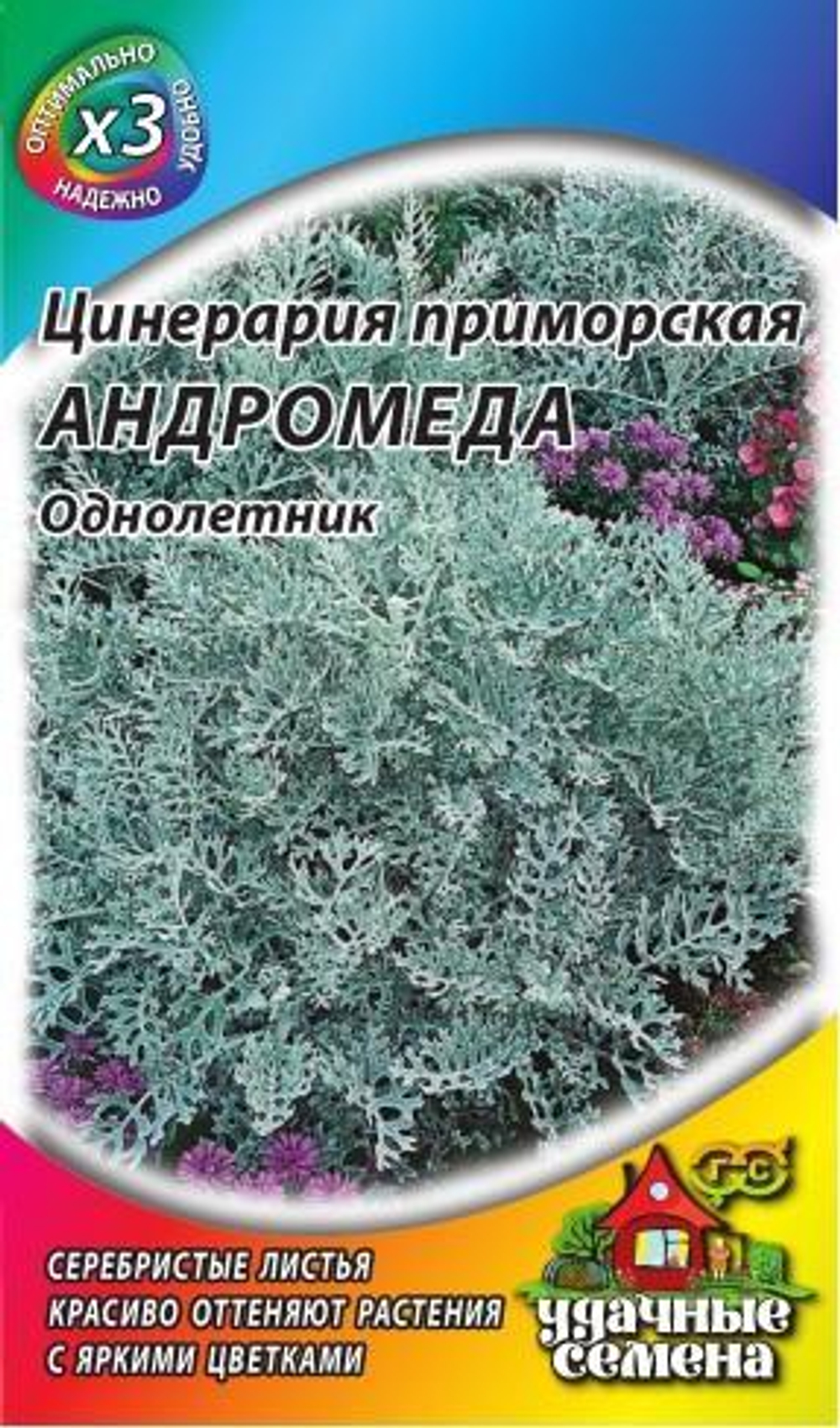 Цинерария Андромеда 0,05г УС Ц Гавриш