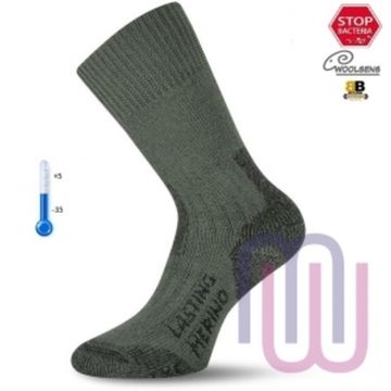 Носки Lasting TXC 620, wool+acryl, зеленый
