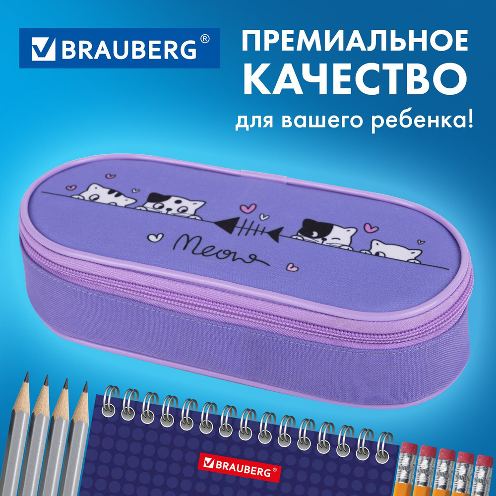 Пенал-футляр BRAUBERG 1 отделение органайзер полиэстер 22x9х5 см "Meow" (2 штуки в упаковке)