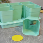 Ящик для рассады на 6 стаканчиков 460мл с поддоном "Дом и Дача"