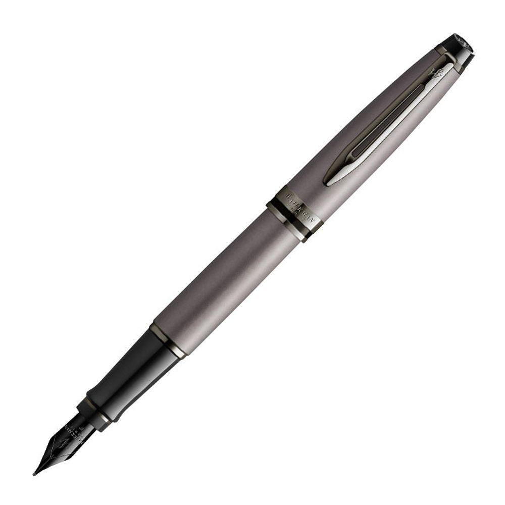 Перьевая ручка Waterman Expert DeLuxe Metallic Silver RT (2119253)