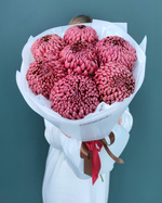Хризантема Бигуди Ред,7 веток (00386)