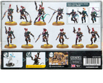 Dark Eldar Wyches